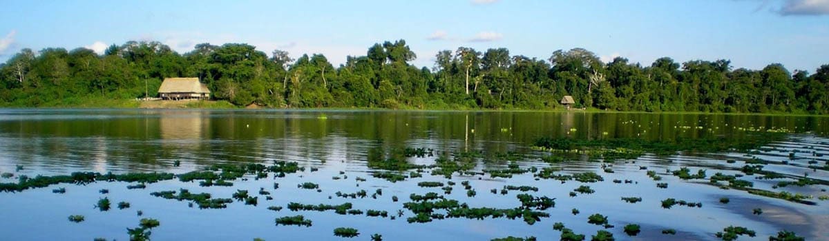 Reserva Nacional de Pacaya Samiria: Cómo visitarlo