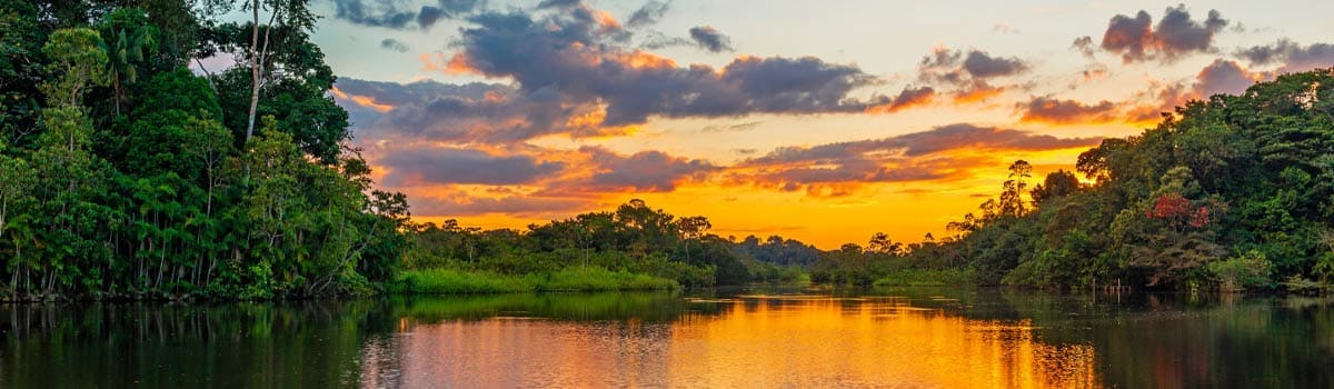 Guía para recorrer la selva amazónica en mochila