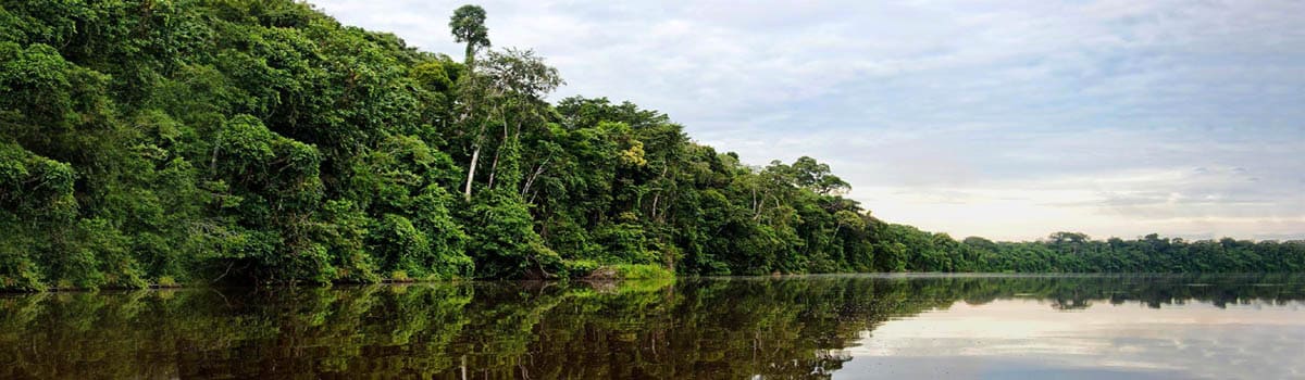 Un viaje al corazón del Parque Nacional Bahuaja Sonene