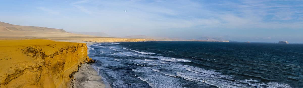 Descubre las 10 mejores actividades en Paracas - Perú